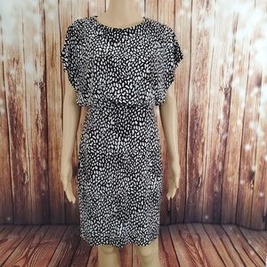 Enfocus Studio Dress 6